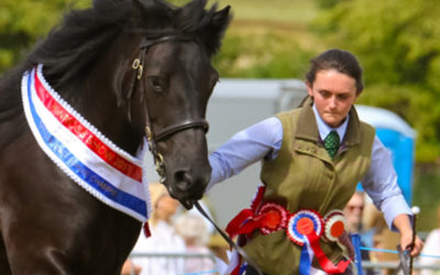 Kinross Show Equine flu policy