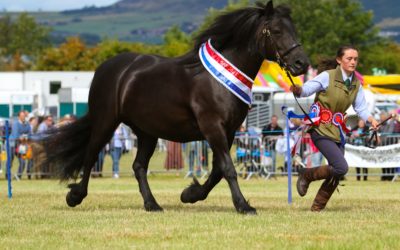 A SHORT HISTORY OF KINROSS SHOW