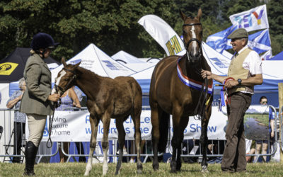 Kinross Show – Saturday 10th August