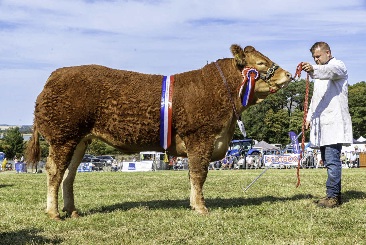 2022 Results Kinross Show