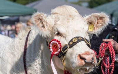 Enter Kinross Show 2023